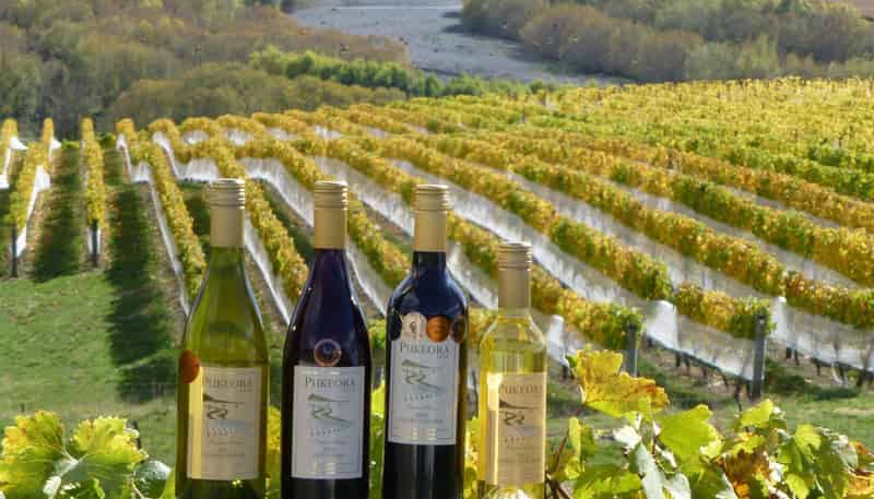 208 Pukeora Scenic Road, Waipukurau and Surrounds