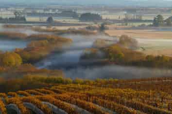 Pukeora Winery and Vineyard