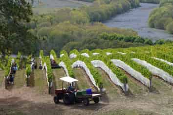 Pukeora Winery and Vineyard