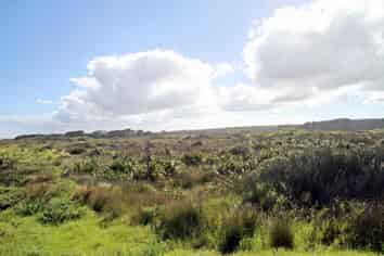 Lot 1 Hukatere Road, Houhora