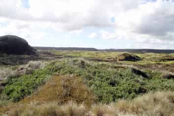  Hukatere Road, Houhora