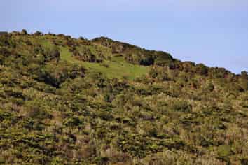  Devon Street, Greymouth