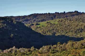  Devon Street, Greymouth