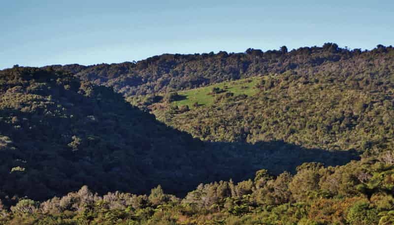  Devon Street, Greymouth