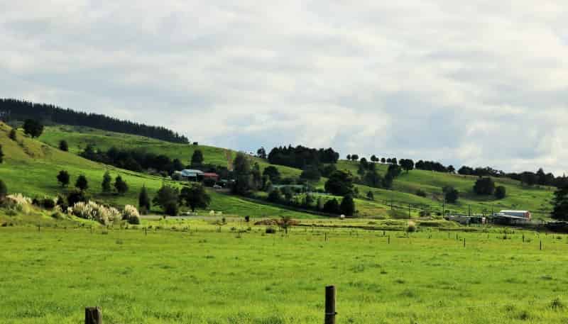 2579 State Highway 12, Dargaville Surrounds