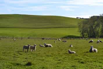 601 Ngapara-Georgetown Road, Duntroon