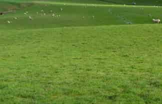 601 Ngapara-Georgetown Road, Duntroon