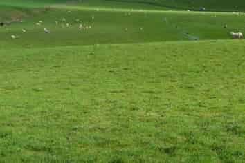 601 Ngapara-Georgetown Road, Duntroon