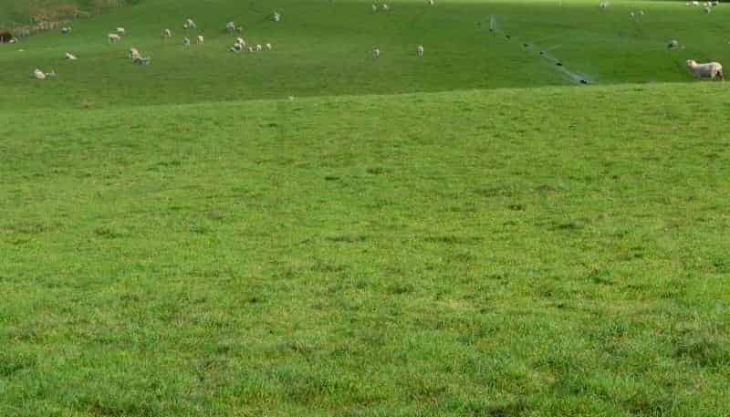 601 Ngapara-Georgetown Road, Duntroon