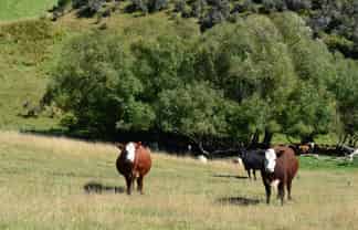 86 West-Maerewhenua Road, Oamaru