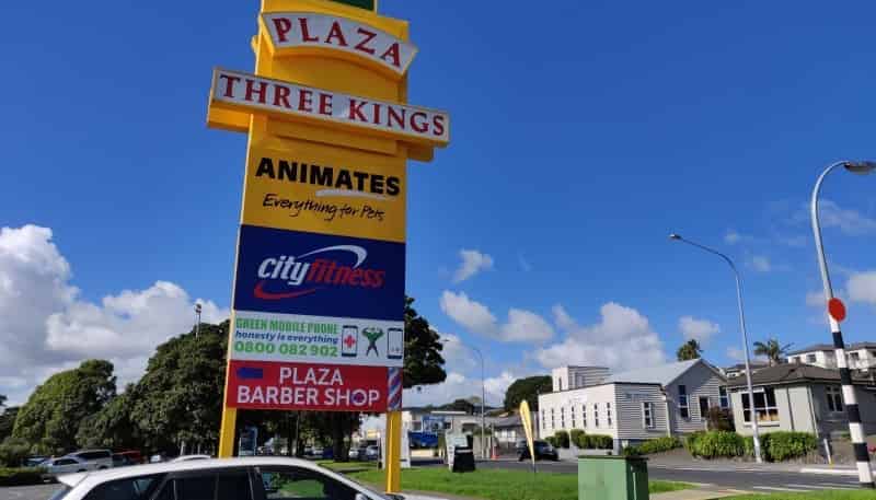 E/528 Mt Albert Road, Three Kings