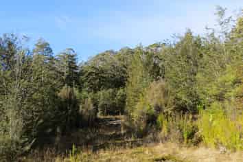  Palmer Road, Buller Surrounds