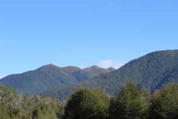  Palmer Road, Buller Surrounds