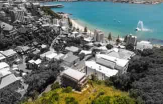 16 Telford Terrace, Oriental Bay