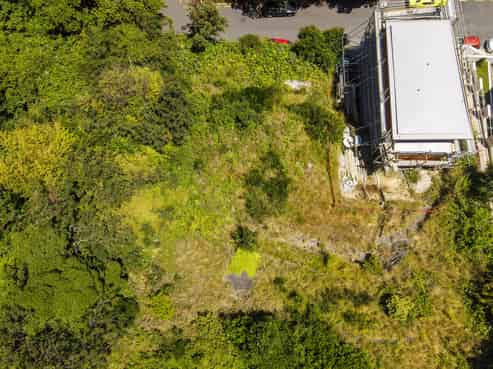 16 Telford Terrace, Oriental Bay