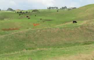 1097 Waingaro Road, Glen Massey