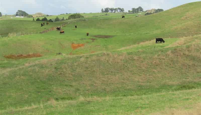1097 Waingaro Road, Glen Massey