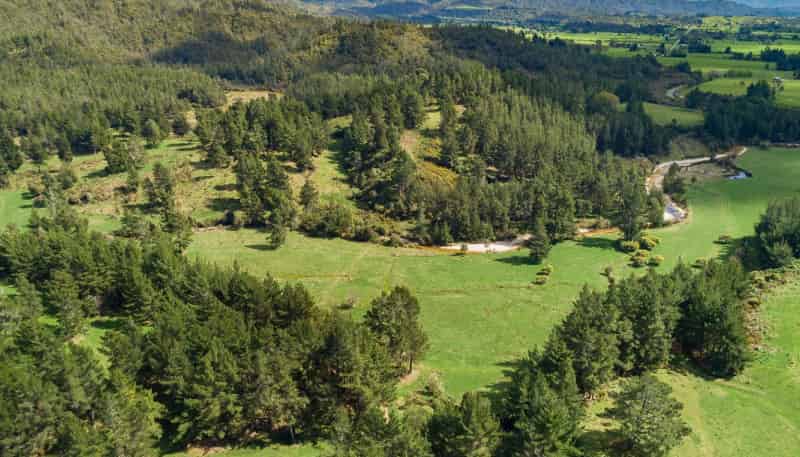 259 Takaka Collingwood Highway, Takaka