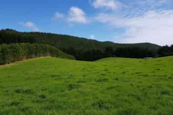 4969 Pouto Road, Pouto