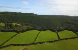 4969 Pouto Road, Pouto