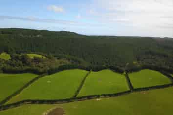 4969 Pouto Road, Pouto