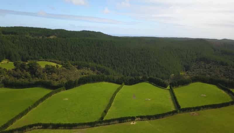 4969 Pouto Road, Pouto