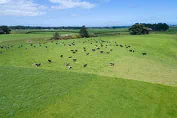 1331 Eltham Road, Kaponga