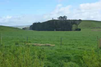  Glenledi Road, Milton