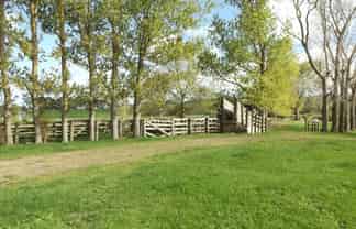 180 Manuel Road, Tauhei