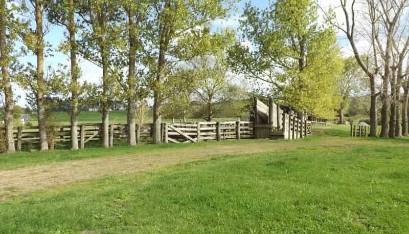 180 Manuel Road, Tauhei