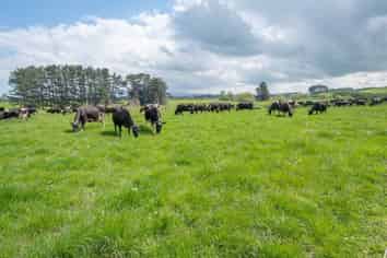 23-42 Tiromoana Road, Eltham