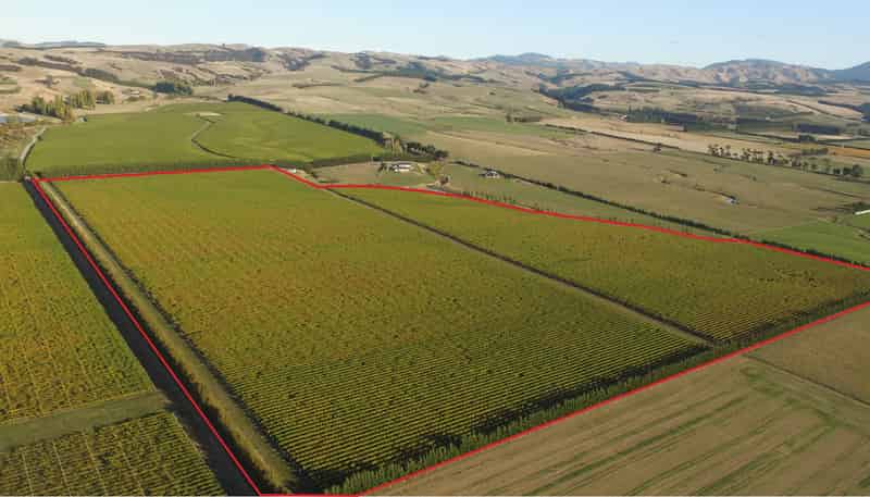  Vineyard Lane, Martinborough