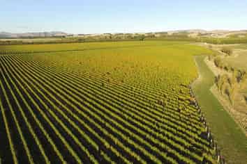  Vineyard Lane, Martinborough