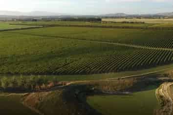  Vineyard Lane, Martinborough
