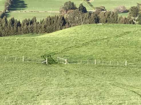 1514 Owaka Valley Road, Owaka