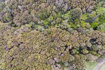 509A Old Maratoto Road, Hikuai