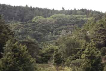 509A Old Maratoto Road, Hikuai