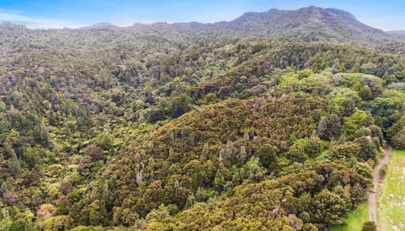 509A Old Maratoto Road, Hikuai