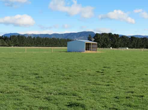 298 Bennetts Road, Cust