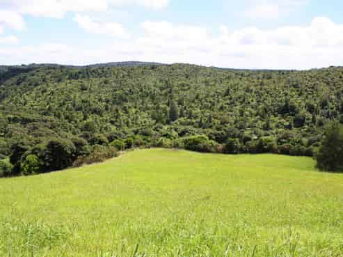 1612C Pakiri Road, Tomarata