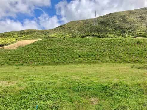 131 Silverstream Road, Crofton Downs