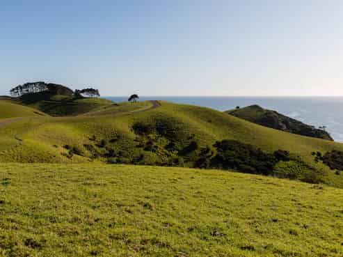 Northland - Address withheld