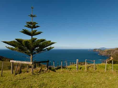 Northland - Address withheld