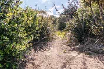 127 Sea View Road, Waiheke Island