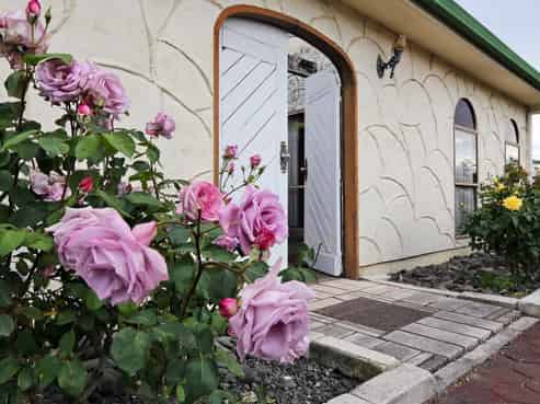 14 Ngaruroro Avenue, Whakatu