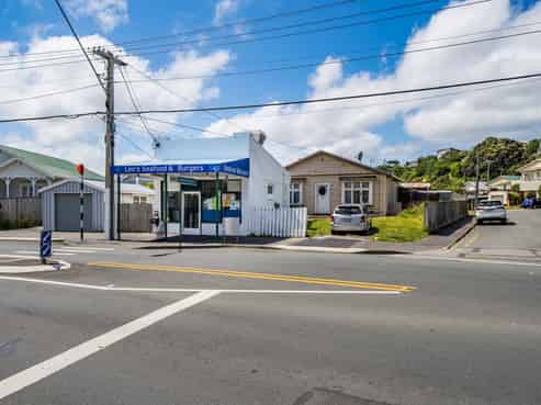 163 Coutts Street, Rongotai