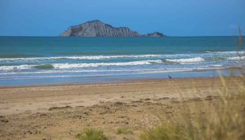 2A, 2D, 2H Blocks, Waitangi Road, Waimarama