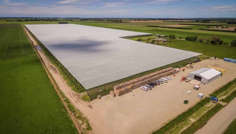 Divan Road, Timaru, Timaru