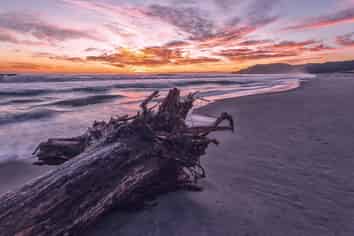 Lot 443 67 Omega Place, Coastlands