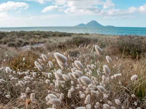 Coastlands Beachside Estate, Coastlands